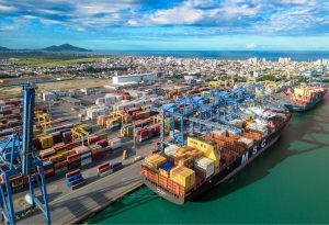 Santa Catarina bate recorde histórico nas exportações de carnes