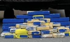 Cães da Polícia Militar descobrem 31 kg de maconha em empresa