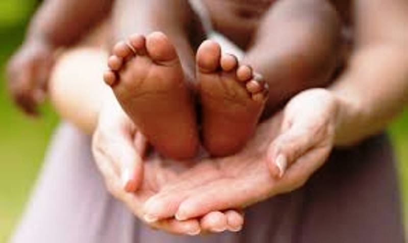 Justiça reconhece maternidade socioafetiva em caso de inseminação caseira em SC