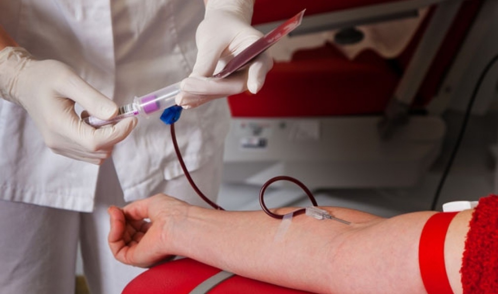 Multas leves em Joinville poderão ser convertidas em doação de medula e sangue