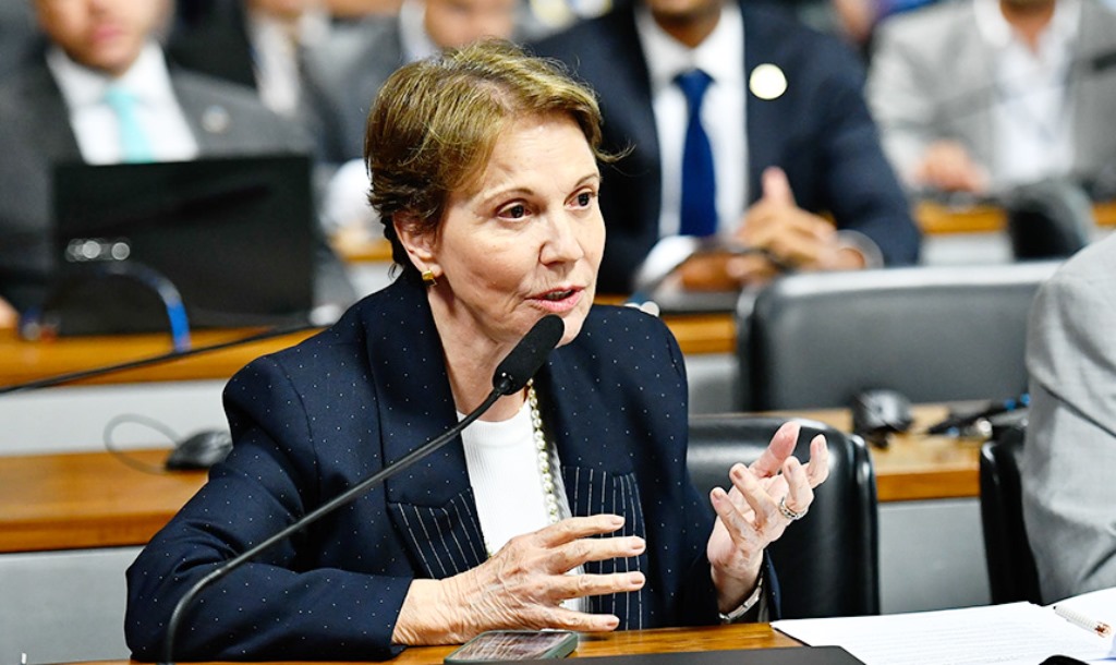 Tereza Cristina acena que aceita ser vice de Flávio Bolsonaro