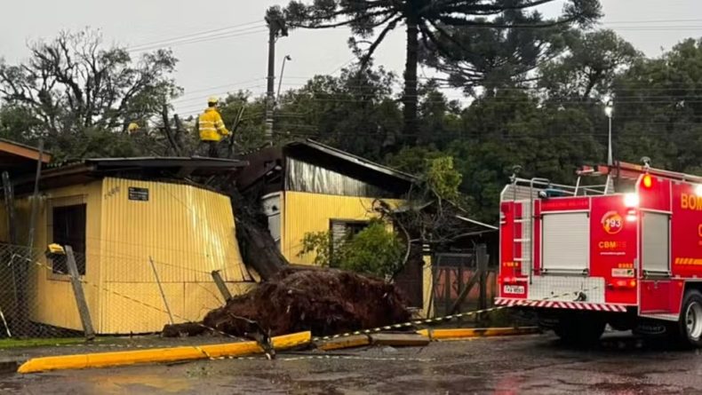 Árvore cai sobre casa e parte residência ao meio no RS