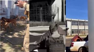 PM esclarece fala sobre abate de cães após vídeo gerar repercussão em SC
