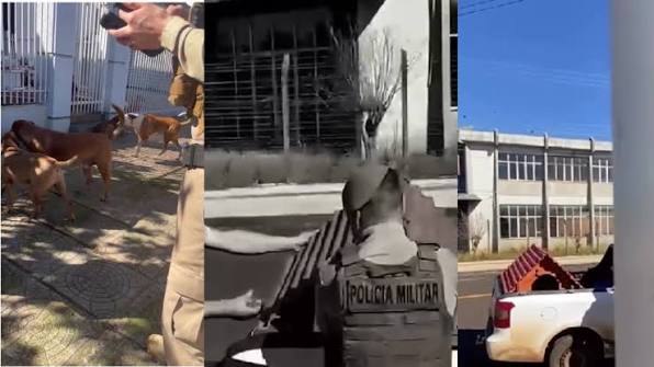 PM esclarece fala sobre abate de cães após vídeo gerar repercussão em SC