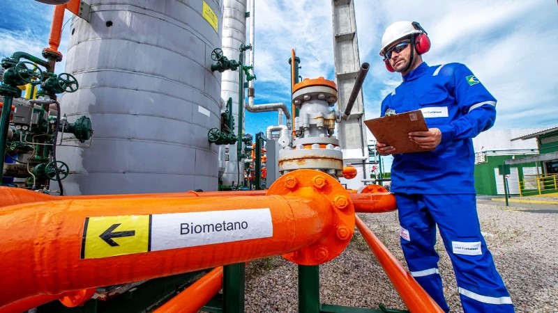 SC cria mercado de biometano e transforma resíduos da suinocultura em energia