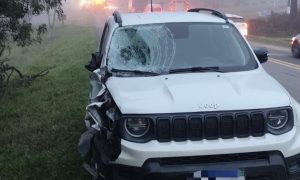 Irmãos de 7 e 14 anos morrem atropelados na BR-470