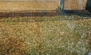 VÍDEO: chuva forte e granizo provocam estragos em SC