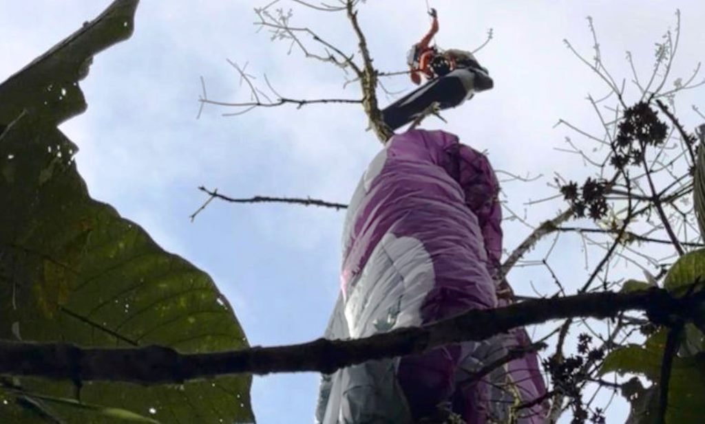 Piloto de parapente é resgatado após ficar preso em árvore