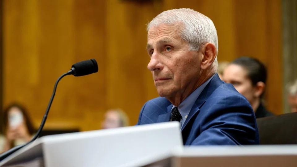 Fauci se cala no Senado e reacende disputa sobre origem da Covid