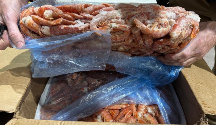 5 toneladas de camarão vindo da Argentina são apreendidas em Indaial