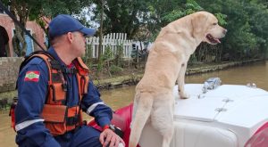 Bombeiros fazem buscas por mulher desaparecida em rio de SC