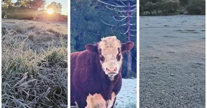 Frio de -9,1°C congela a Serra de SC e transforma paisagem em gelo