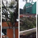 Campo Erê decreta emergência após temporal destruir telhados e causar em casas