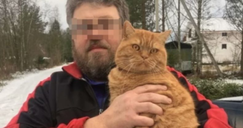 Homem morre após arranhão de gata provocar hemorragia