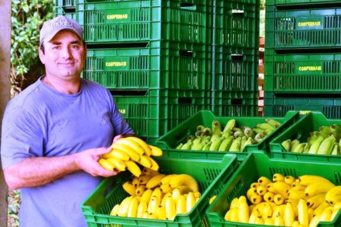 Cooperativismo e tecnologia fortalecem o agronegócio em Santa Catarina