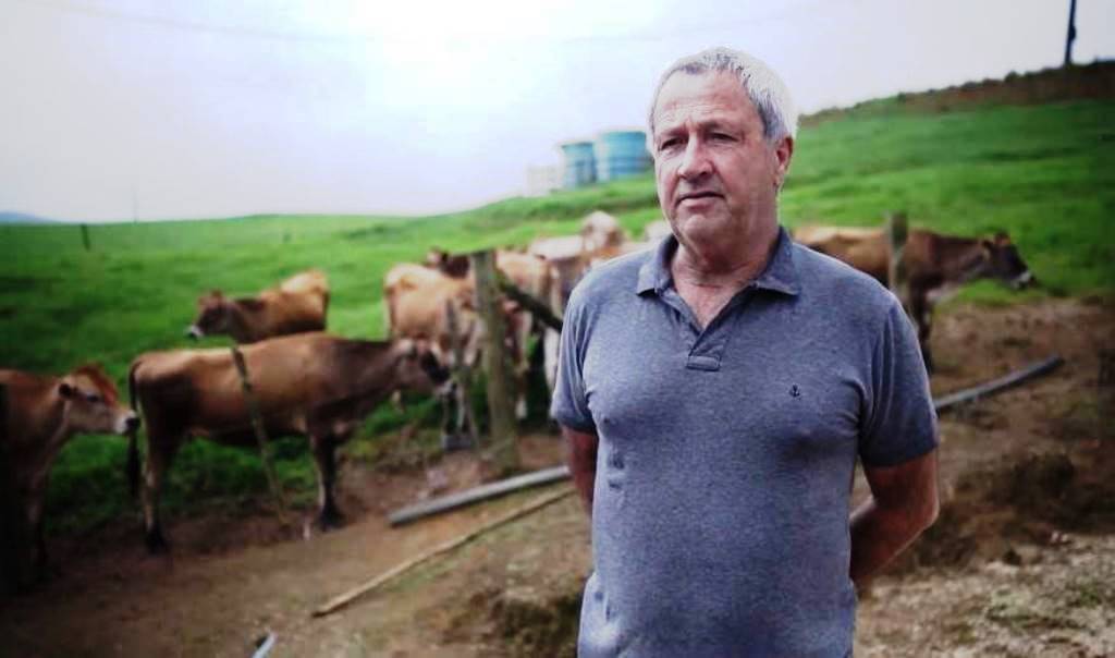 Produtor que precisou abater 82 vacas leiteiras retoma atividade em SC