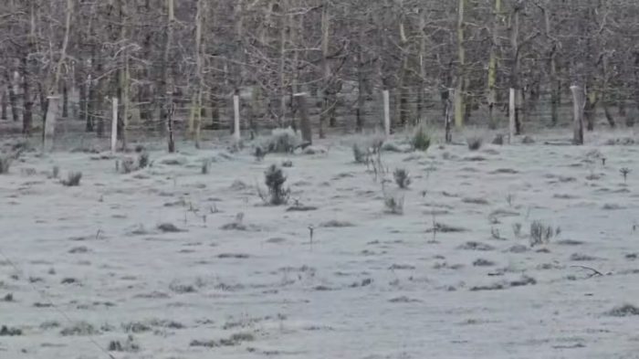 Frio de até 0°C e mar de 3,5 metros marcam semana em SC
