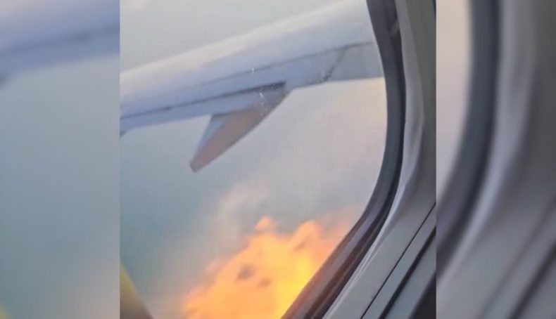 Avião com 181 passageiros pega fogo após bater em aves nos EUA