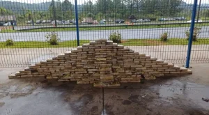Depósito subterrâneo é descoberto e polícia apreende 231 quilos de cocaína