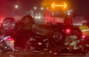 Cavalos causam sequência de acidentes na Br-101 em SC