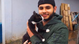 Gata desaparece por um mês, percorre 30 km e volta para casa de forma inesperada