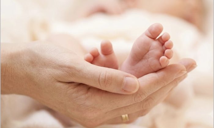 Entrega voluntária para adoção em Lages: entenda como funciona