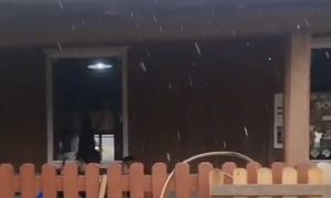 VÍDEO: cidade catarinense registra neve neste domingo