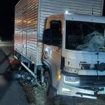 Motociclista morre em colisão contra caminhão na BR-470