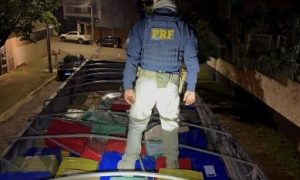 PRF apreende 6,8 toneladas de maconha com destino a SC