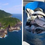 Pescadores são presos com 100 kg de peixe na Reserva do Arvoredo