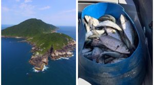 Pescadores são presos com 100 kg de peixe na Reserva do Arvoredo