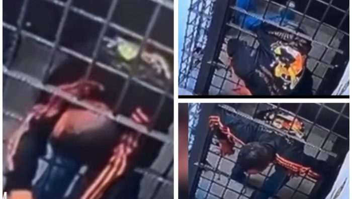Vídeo: preso protagoniza fuga ousada e escapa por buraco na cela