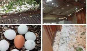 Temporal atinge 13 cidades de SC e deixa quase mil casas danificadas no Oeste