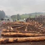 Carreta tomba, toras atingem carro e motorista foge na BR-282