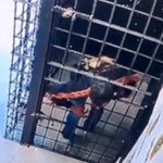 Vídeo: preso por agredir a família escapa pela grade em cela da delegacia