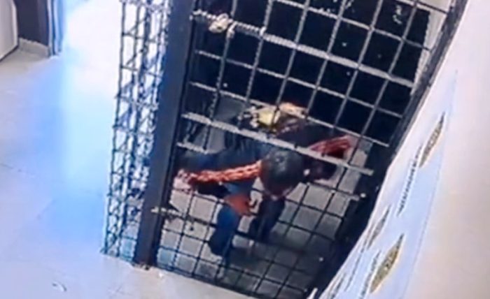 Vídeo: preso por agredir a família escapa pela grade em cela da delegacia