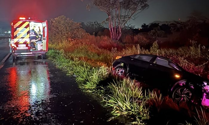 Bezerro na BR-470  provoca colisão entre três veículos