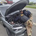 Motorista é preso na BR-470 com veículo roubado