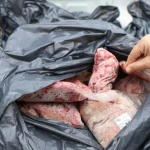Carnes vencidas são apreendidas em açougue de Florianópolis