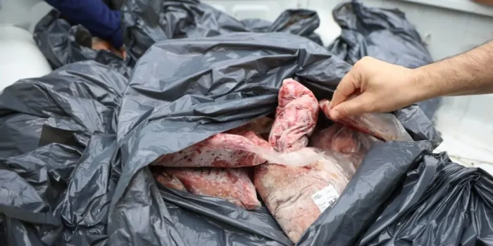 Carnes vencidas são apreendidas em açougue de Florianópolis