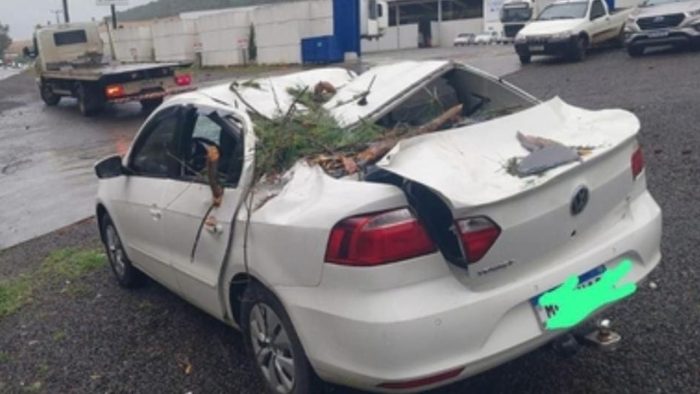 Temporal derruba árvores e uma delas atinge carro em rodovia de Santa Catarina