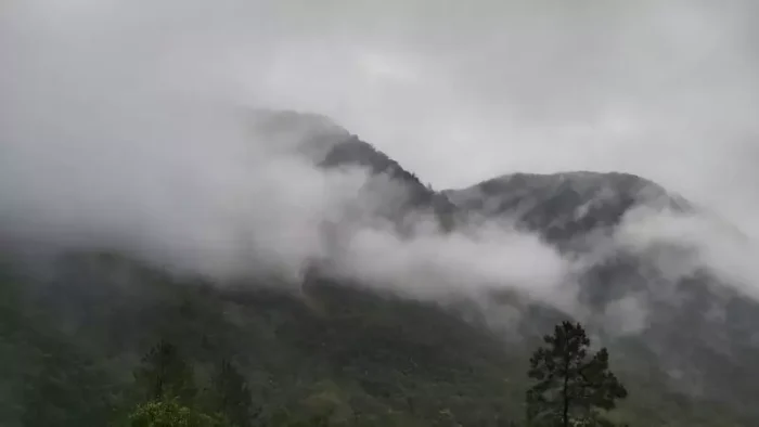Neblina intensa reduz visibilidade na Serra Dona Francisca