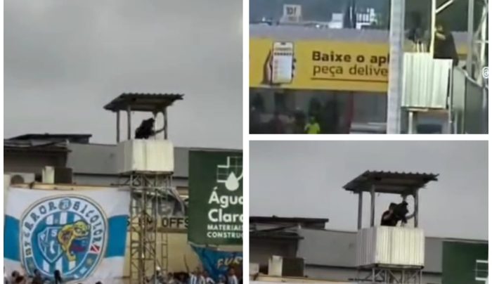 Vídeo: Polícia Civil investiga falhas de segurança em jogo do Brusque