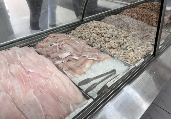 Operação descarta mais de 10 toneladas de pescados impróprios em SC