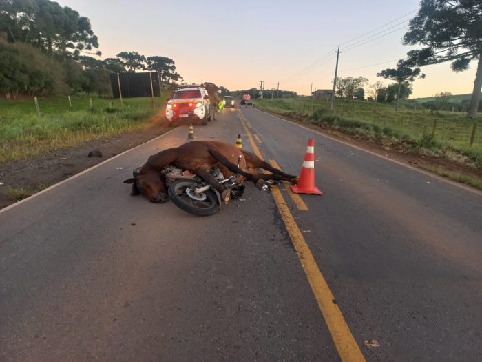 Jovem morre ao colidir com cavalo e ser atropelado na SC-452