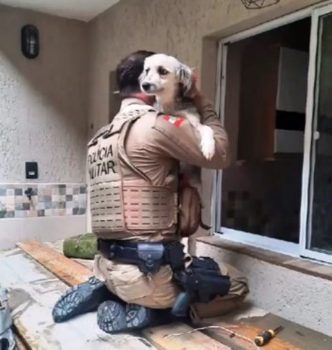 Cachorro é resgatado após ter focinho amarrado para não latir 