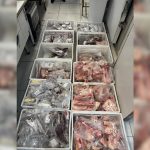Procon apreende 249 kg de carne imprópria em Florianópolis