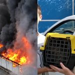 Vídeo: Moradores podem voltar para casa após incêndio em São José