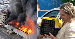 Vídeo: Moradores podem voltar para casa após incêndio em São José