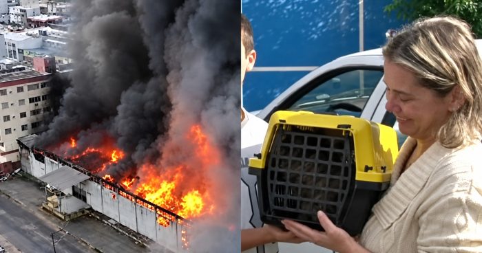 Moradores podem voltar para casa após incêndio em São José